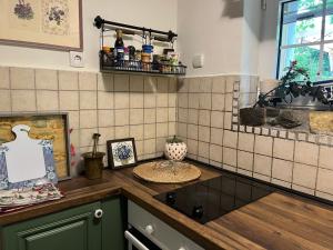 a kitchen with a counter top with a counter sidx sidx sidx at Magnolia Nest in Belgrade