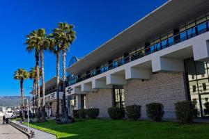 a building with palm trees in front of it at Rose Joséphine in Ajaccio