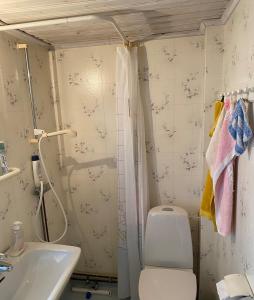 a bathroom with a toilet and a sink at Sjöberg's Cosy Cottage in Ljungby +71 photos