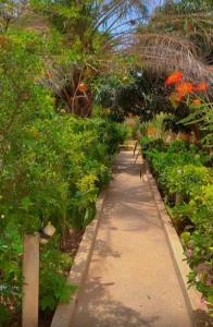 a walkway through a garden with flowers and plants at Villa Symphonie Saly in Saly Portudal