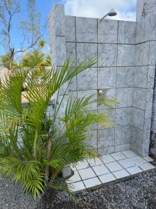 a shower in a stone wall with plants at Cantinho Muriu in Ceará-Mirim +5 photos
