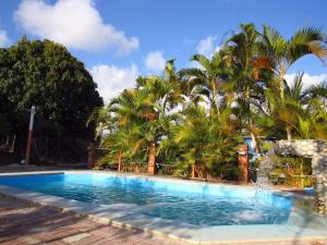 a swimming pool with palm trees and a fountain at Canto Alegre Pernambuco in Goiana