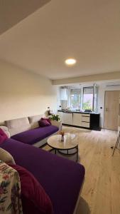a living room with purple couches and a table at Viola Studio Apartman in Bar +12 photos
