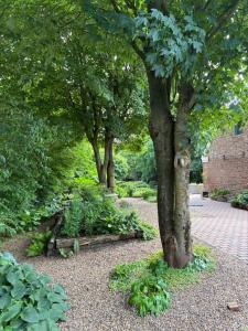 a group of trees and plants in a garden at Gæstehuset in Tarm
