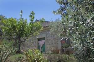 a stone house with a green door and trees at Casa Cucuzzolo in Isca sullo Ionio