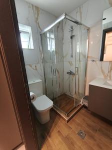 a bathroom with a shower and a toilet and a sink at Orestiada Centro apartment in Orestiada