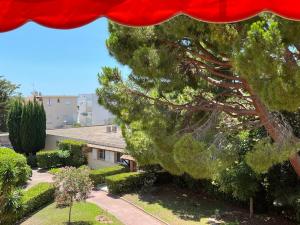 a red umbrella in front of a tree at 50 pas de l'Ô in Saint-Cyr-sur-Mer