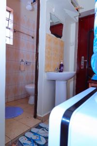 a bathroom with a sink and a toilet at Manta homes studio Apartments in Thika
