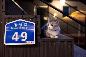 a cat sitting on a box next to a sign at Donghae Gloria Pension in Donghae