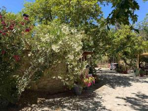 a garden with flowers and trees and a wall at Arena's nest in Áyioi Dhéka