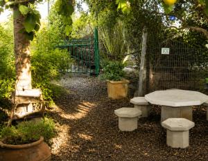 a garden with a bench and a tree and a fence at נופש דביר - צימרים מהממים למשפחות עם ג'קוזי ובריכה ליד הכנרת in Migdal +7 photos