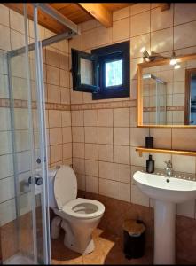 a bathroom with a toilet and a sink at La casa di Kapo in Syvota +18 photos