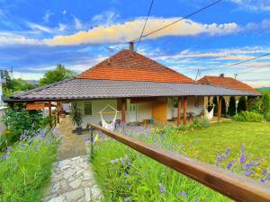 a house in a field with purple flowers in front of it at Apartmani Maslačak in Vrdnik