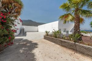 a house with a palm tree and a building at Finca La Pampa in Arafo