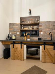 a kitchen with a counter with a microwave and a sink at Mlýn Slavonice in Slavonice