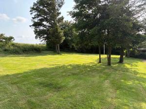 two trees in the middle of a grass field at Cozy Summerhouse in Vestervig