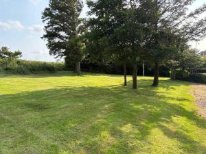 two trees in a grassy field with a shadow at Cozy Summerhouse in Vestervig