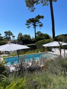 a swimming pool with two white umbrellas at Appartements Mistral in Pyla-sur-Mer