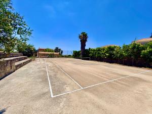 a tennis court with a palm tree in the background at Palm Villa Ammes in Svoronata