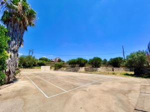 a tennis court with a palm tree next to it at Palm Villa Ammes in Svoronata