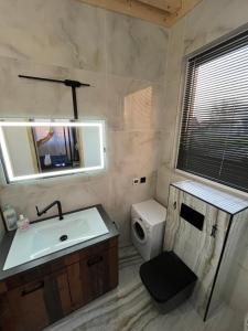 a bathroom with a sink and a toilet and a window at Csiszta Thermal Villa in Buzsák +10 photos