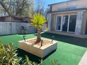 a house with a palm tree in a yard at Csiszta Thermal Villa in Buzsák