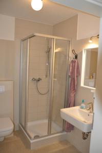 La salle de bains est pourvue d'une douche et d'un lavabo. dans l'établissement Ferienhaus Wiekhus, à Breege