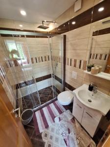 a bathroom with a shower and a toilet and a sink at Nensi in Mostar