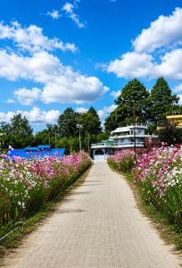 a path through a field of flowers at Zion Campsite in Ziro