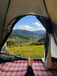 a person sitting in a tent looking out at the mountains at Zion Campsite in Ziro +5 photos