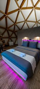 a bedroom with a large bed with purple lights at Dôme Bao SPA luxe climatisé in Lesterps +14 photos
