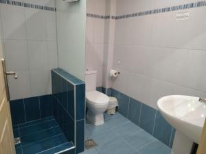 a bathroom with a toilet and a sink at Maistrali in Vasiliki +29 photos