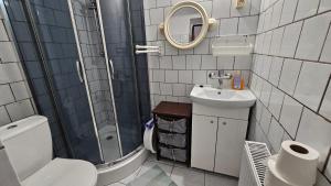 a bathroom with a shower and a toilet and a sink at Keja II in Łeba +24 photos