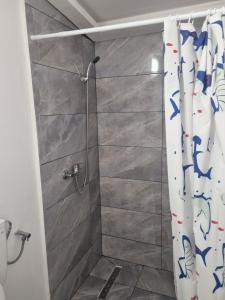 a shower stall with a shower curtain in a bathroom at Casa Florentina in Făgăraş +10 photos