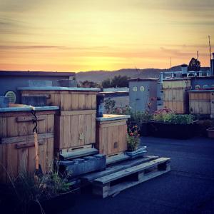 a group of wooden buildings with a sunset in the background at Apartamenty 107 in Rumia