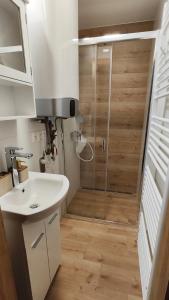 a bathroom with a shower with a sink and a toilet at Sunrise House in Žilina