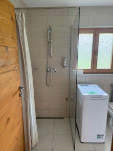 a bathroom with a shower and a washing machine at Martinova izba - Family Bungalows in Laško +23 photos
