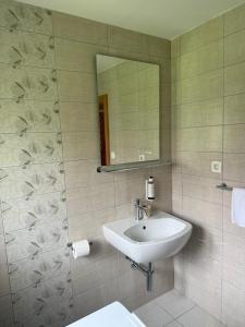 a bathroom with a sink and a mirror at Martinova izba - Family Bungalows in Laško