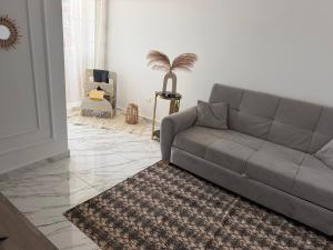 a living room with a gray couch and a rug at Apparemment f3 délit Ibrahim in Deli Ibrahim