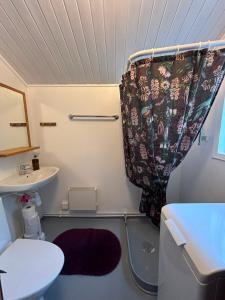 a small bathroom with a toilet and a shower curtain at Flamingon' in Undenäs +32 photos