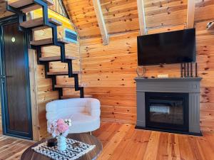 a living room with a fireplace and a tv at Etno House Dragas in Njegovuđa