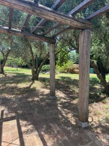 a wooden pergola in a park with trees at Il Respiro degli Ulivi in Viterbo +1 photo