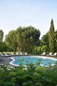 a swimming pool with lounge chairs and trees at Rimbes Casteljaloux - Gite 6 pers in Casteljaloux