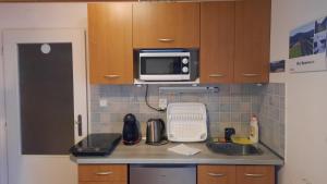a kitchen with a sink and a microwave at Horský Apartmán Ramzová in Ramzová