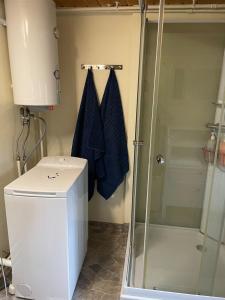a bathroom with a shower and a toilet at Rosebo in Tranås