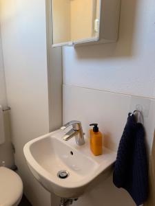 a bathroom with a sink and a mirror at Lorenzo Apartments 05 in Burglengenfeld +15 photos