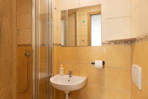 a bathroom with a sink and a shower at Willa Mak in Krynica Zdrój
