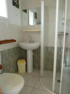y baño con aseo, lavabo y ducha. en Le gite de Cristal proche Bugarach, en Granès