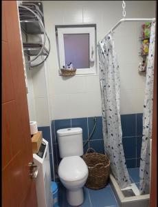 a bathroom with a toilet and a mirror at Apartman Ika in Belgrade