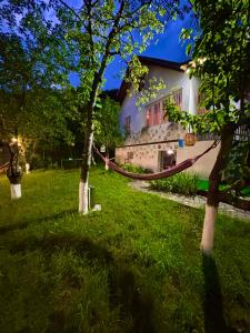 a hammock in the yard of a house at Villa Bubi in Tbisi